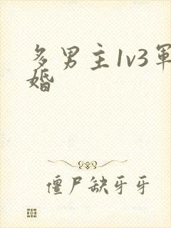 多男主1v3军婚