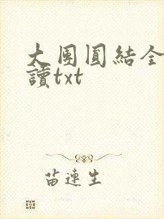 大团圆结全文阅读txt