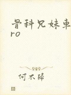 骨科兄妹车多pro