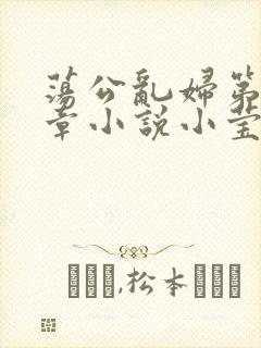 荡公乱妇第51章小说小莹