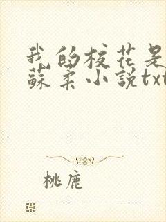 我的校花是福姬苏柔小说txt