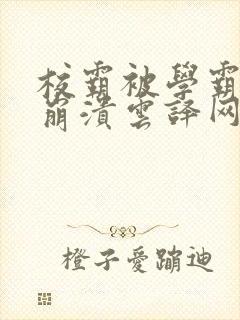 校霸被学霸玩到崩溃云译网