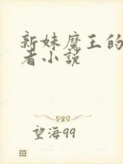 新妹魔王的契约者小说