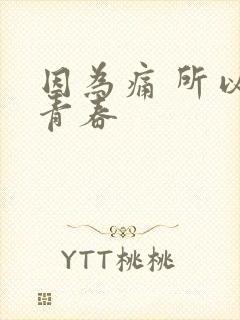 因为痛 所以叫青春