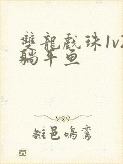 双龙戏珠1v2躺平鱼