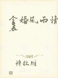 《金婚风雨情演员表》小说封面