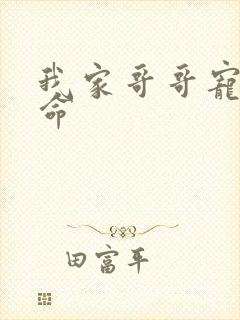 我家哥哥宠妹如命