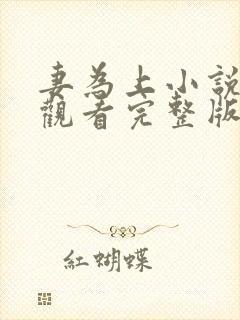 妻为上小说免费观看完整版笔趣阁