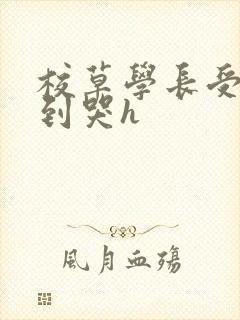 校草学长受被做到哭h