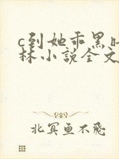 c到她乖黑暗森林小说全文阅读