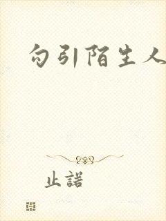 《勾引陌生人》小说封面