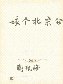 嫁个北宋公务员