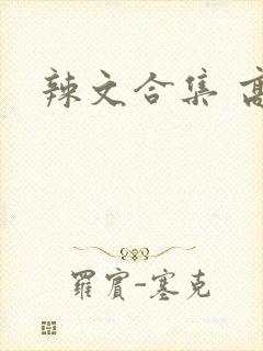 辣文合集 高h