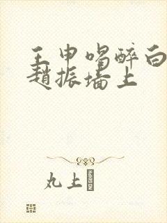 王申喝醉白洁被赵振墙上