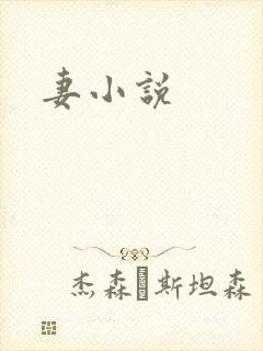 妻小说
