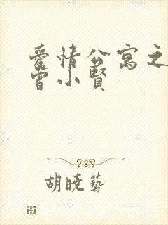 爱情公寓之极品曾小贤