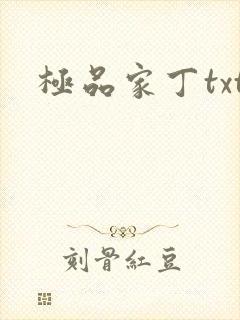 极品家丁txt