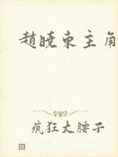 赵晓东主角小说