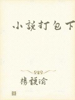 小说打包下载