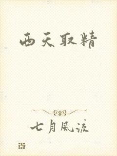 西天取精