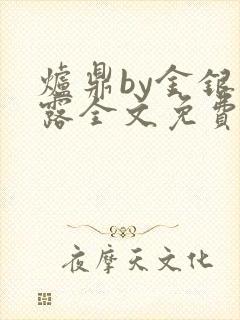 炉鼎by金银花露全文免费阅读笔趣阁