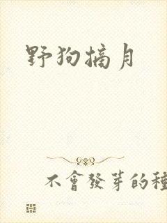 野狗摘月