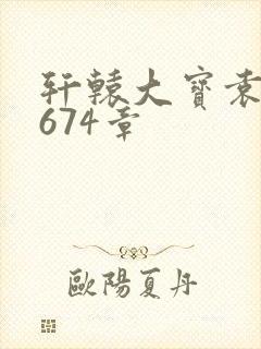 轩辕大宝袁雪妃674章