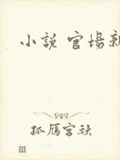 小说 官场新贵封面