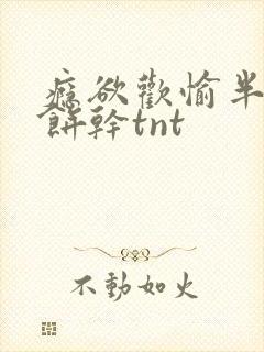 瘾欲欢愉半块小饼干tnt