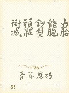 街头钞能力无删减版双胞胎