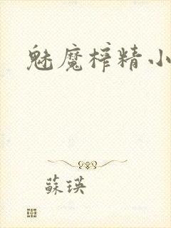 魅魔榨精小说