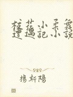 校花小柔舞蹈室遭遇记小说