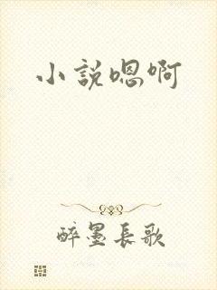 小说嗯啊