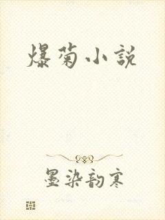 爆菊小说