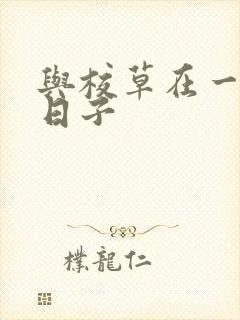 与校草在一起的日子