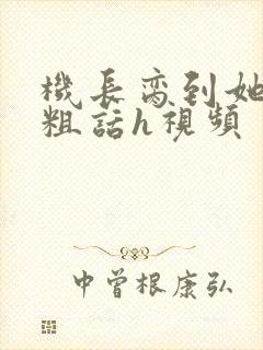 机长脔到她哭h粗话h视频