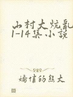 山村大炕乱肉续1-14集小说