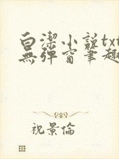 白洁小说txt无弹窗笔趣阁