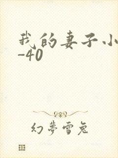 我的妻子小谨1-40封面