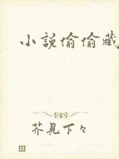 小说偷偷藏不住