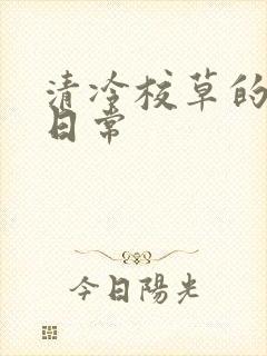 清冷校草的抹布日常