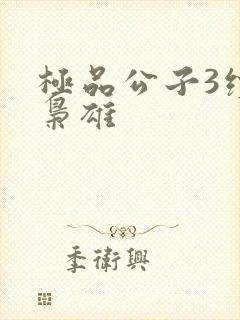 极品公子3续世枭雄