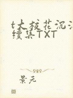 t大校花沉浮录续集TXT封面