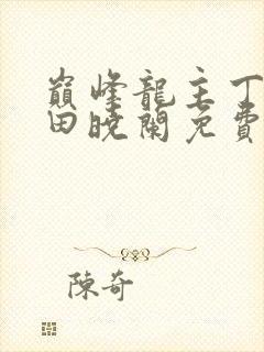 巅峰龙主丁长顺田晓兰免费阅读