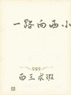 一路向西小说