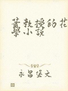 萧教授的花式教学小说