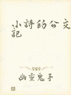 小诗的公交车日记