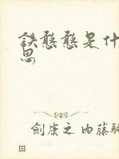 铁憨憨是什么意思