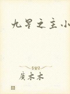 九星之主小说