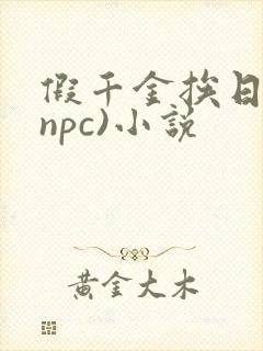假千金挨日记(npc)小说